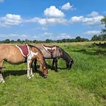 In Near Nature Reserves Dom wakacyjny