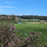 In Near Nature Reserves *