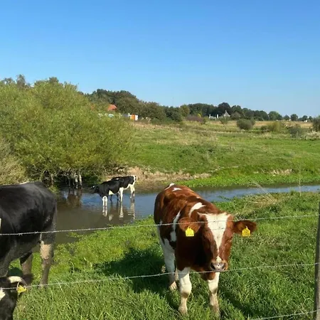 In Near Nature Reserves *