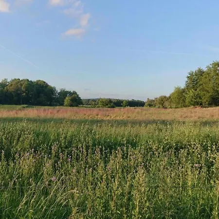 In Near Nature Reserves *