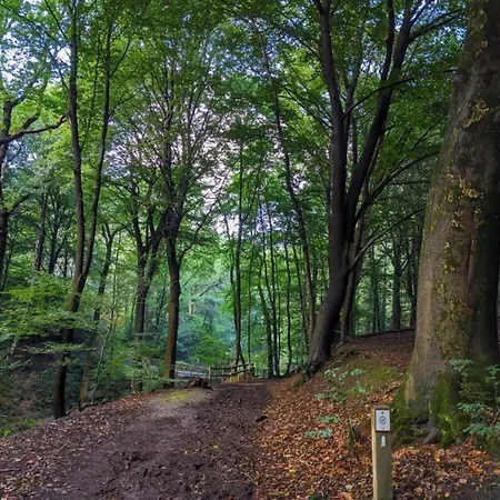 Vakantiehuis In Near Nature Reserves Plasmolen