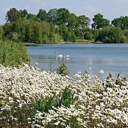 Vakantiehuis In Near Nature Reserves