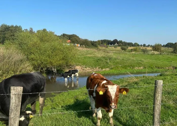 In Near Nature Reserves *