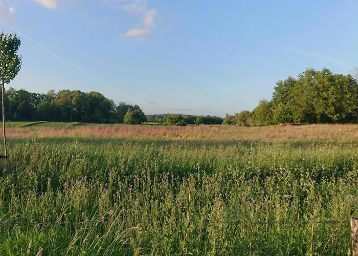 In Near Nature Reserves *