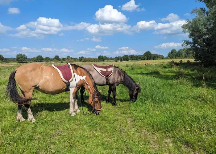 In Near Nature Reserves Сasa de vacaciones