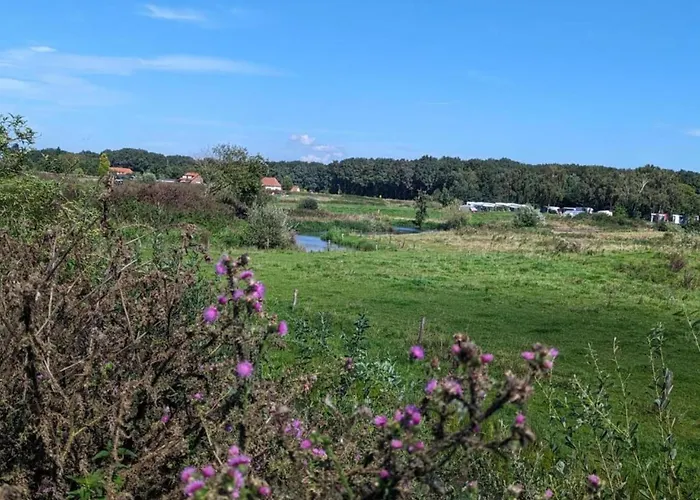 In Near Nature Reserves *