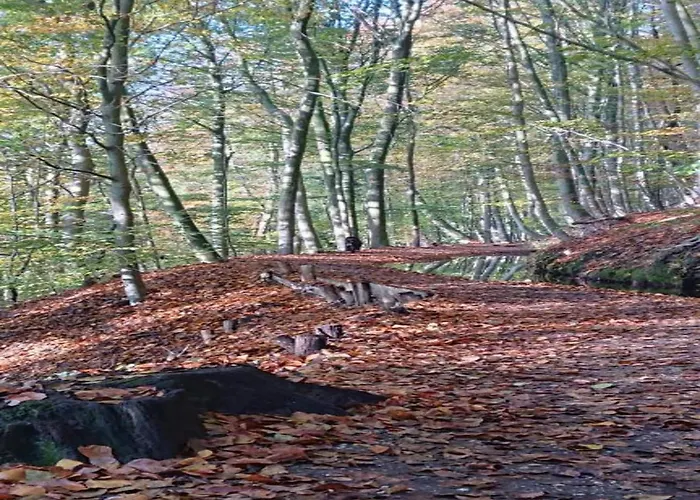 In Near Nature Reserves Сasa de vacaciones