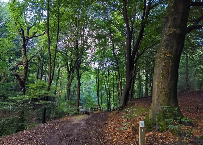 Сasa de vacaciones In Near Nature Reserves Plasmolen